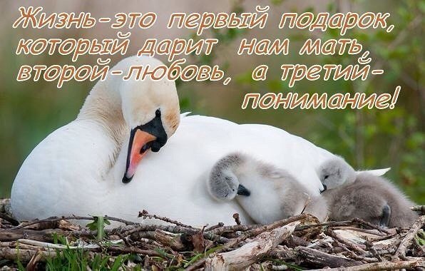  ,   ... - 14  2017  17:43