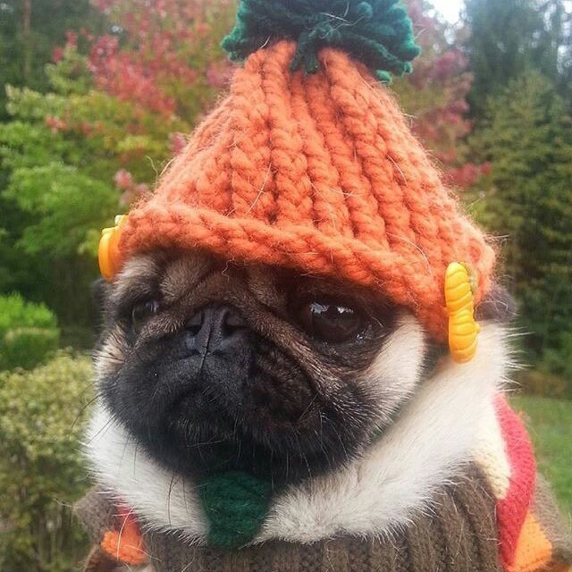     :)