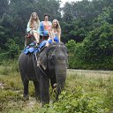 ���� �����, ������, 57 ��� - ��������� 12 �������� 2016 � ������ ������� 2016�