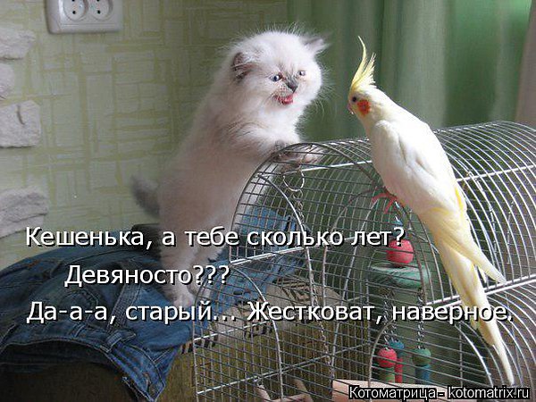   - 12  2017  20:54