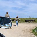 ���� Rikkinen, ������, 36 ��� - ��������� 11 �������� 2016 � ������ ������ ��������