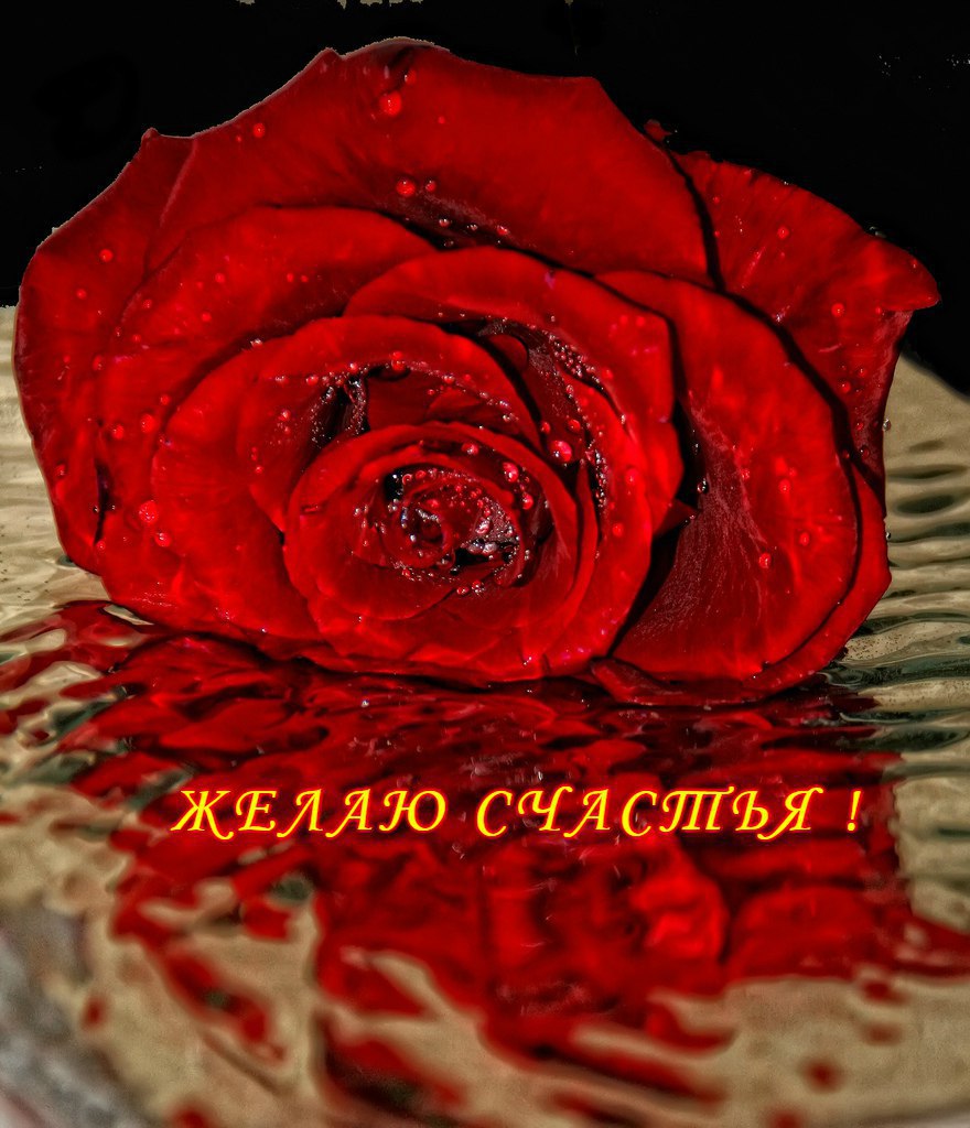 *** ***