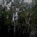 ���� ������, ����, 74 ���� - ��������� 1 ������� 2016 � ������ ������ ��������