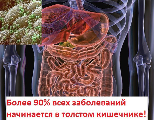 Доброго времени суток! Меня зовут Екатерина! И сегодня хочу рассказать вам как я боролась с ...