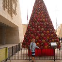 malta2016    