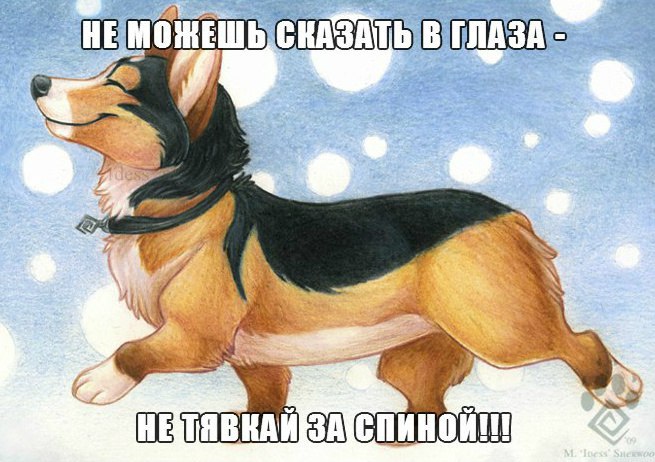   - 2  2016  20:06