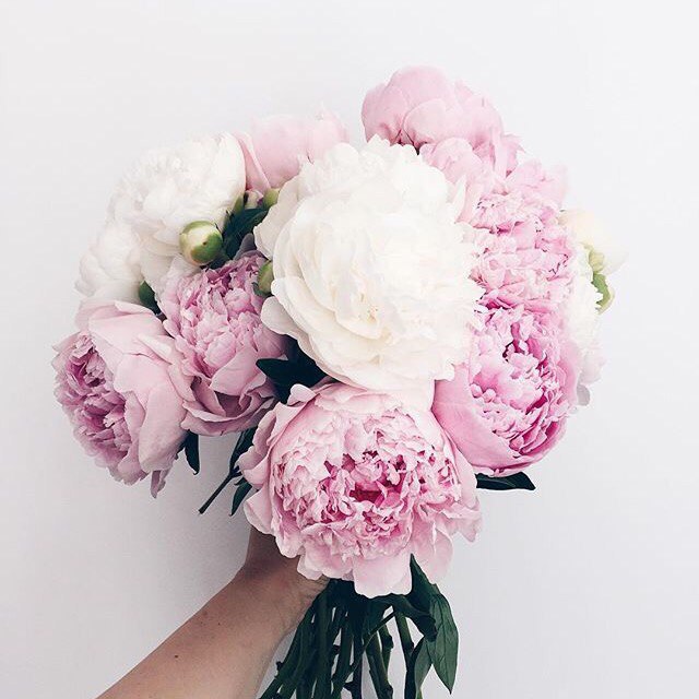 ����� ������� - 31 ������ 2017 � 01:07 - 3