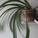 ���� ���������, �����-���������, 64 ���� - ��������� 29 �������� 2016 � ������ ���� �������� ����� !�