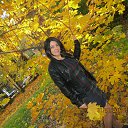 ���� ��������, ����� - ��������� 14 ������� 2016 � ������ ���� ����������