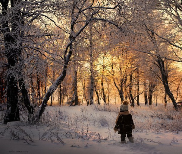        .,      - 7