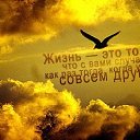 ���� ��������, ����������, 58 ��� - ��������� 9 ������� 2016 � ������ ������ ��������