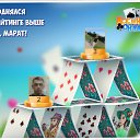 ���� �����, �������������, 59 ��� - ��������� 5 ������ 2017 � ������ �������� �������-�������