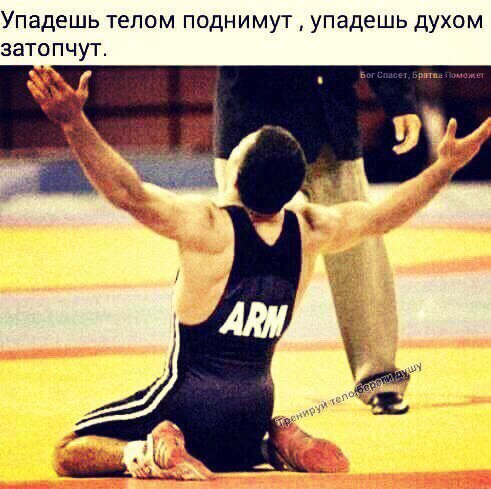  -   - 16  2016  01:51