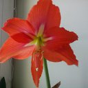 ���� ������, �������� - ��������� 3 ������ 2017 � ������ ���������� ������