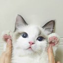 ���� Isak, �������� - ��������� 9 ������� 2016