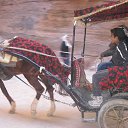 ���� Iga, ������� - ��������� 29 �������� 2016 � ������ ����������