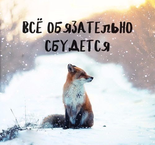  - 25  2016  09:54