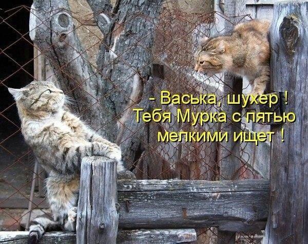       - 12  2016  18:23