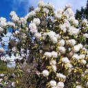 ���� Lana, ������, 54 ���� - ��������� 1 ������ 2017 � ������ �Timeline Photos�