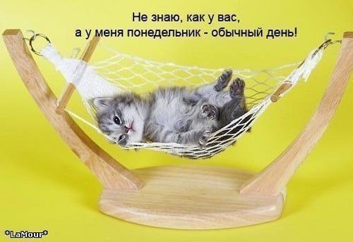   ... - 19  2016  22:28