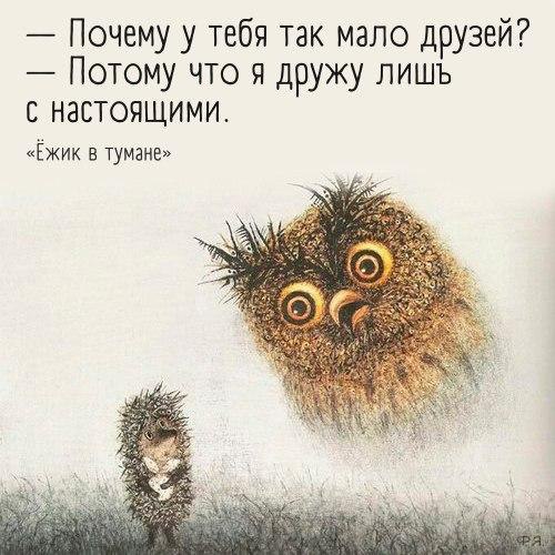 LIFE -  - 29  2016  19:02
