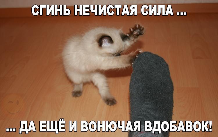    :D - 2  2017  03:04