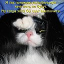 ���� ���100, ������������, 57 ��� - ��������� 17 ������� 2017 � ������ ���� ����������