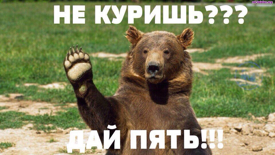  -   - 1  2016  17:07