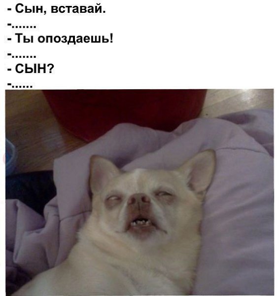   - 29  2016  16:02