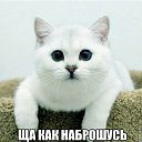 ���� ������, ������, 44 ���� - ��������� 25 ������ 2016 � ������ ������ ��������