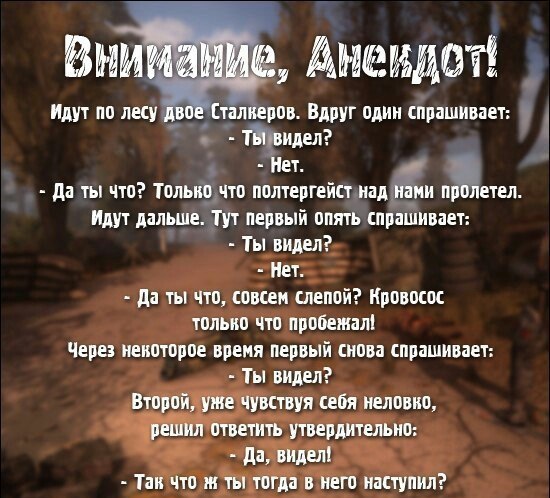 Спроси опять. Анекдоты сталкер. Анекдоты из сталкера. Шутки про сталкер. Приколы сталкер анекдоты