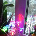 ���� �����, �����-���������, 56 ��� - ��������� 19 ������� 2016 � ������ ������ ��������