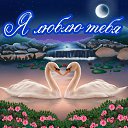 ���� ��.�����, ������ - ��������� 27 ������� 2016 � ������ �������� ��������