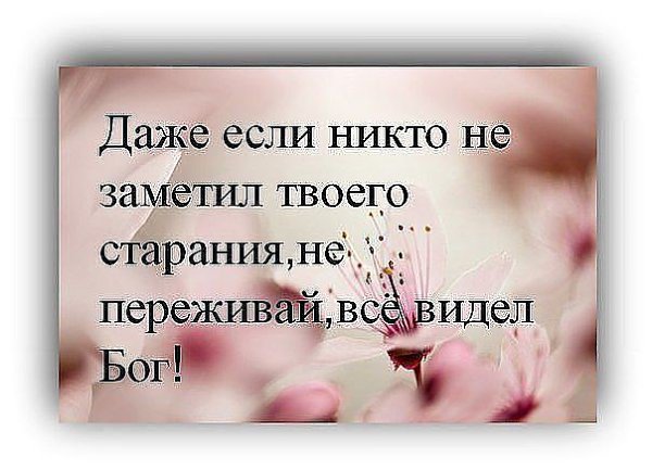 .Life.Is.Life. - 30  2016  11:55