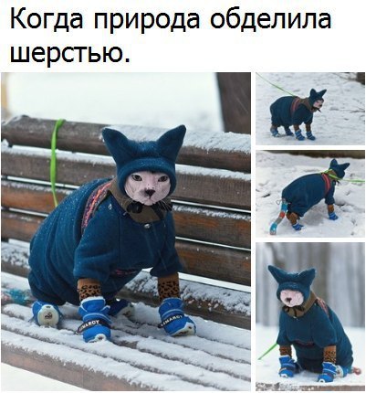  - 8  2016  04:37