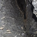 ���� ������, ���������, 60 ��� - ��������� 5 ������ 2017 � ������ ��������� � ������� 04-05.01.2017�