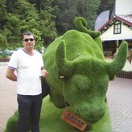 �����, �����-���������, 46 ���