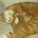 ���� ������, ����������, 44 ���� - ��������� 27 ������� 2016 � ������ ���� ����������