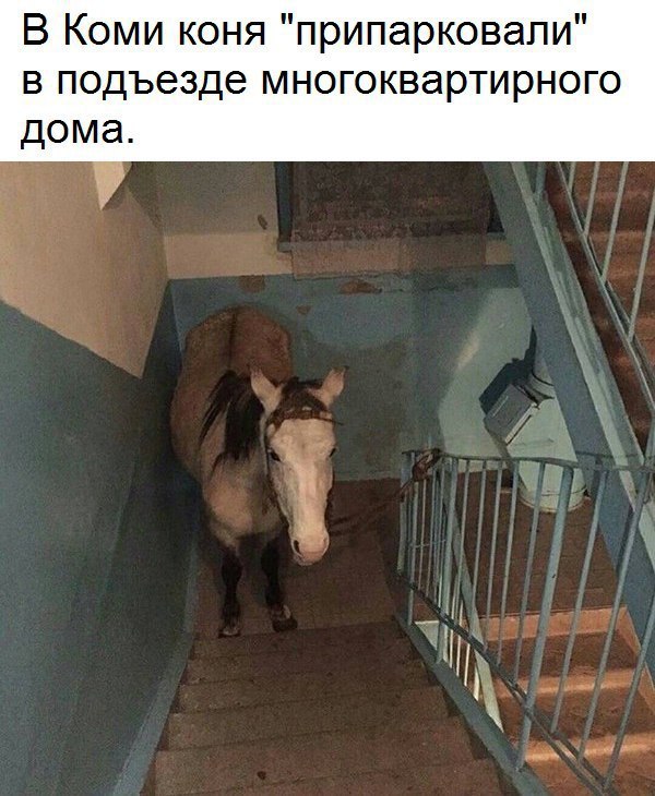  - 24  2016  07:03