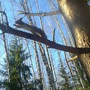 ���� �������, ����� - ��������� 5 ����� 2017 � ������ �������