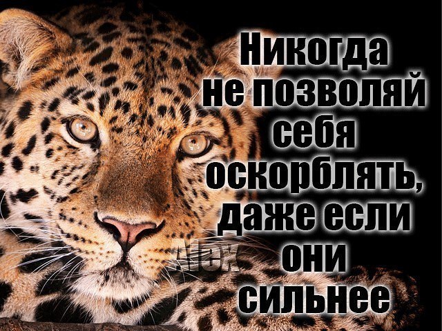 .https://fotostrana.ru/away?to=/sl/kxC2 - 31  2016  12:54