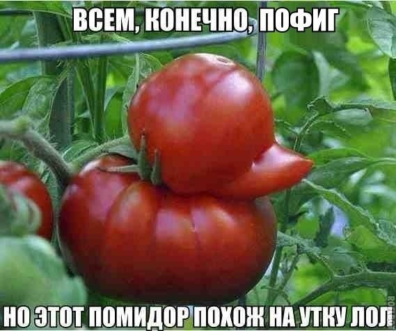   ! - 9