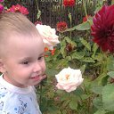  ,  , 33  -  26  2016     