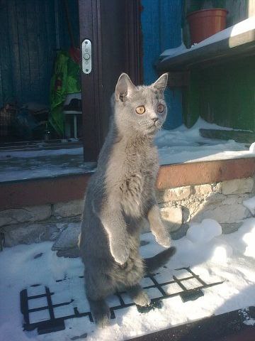      ?! - 3