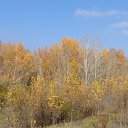 ���� ������, �������� - ��������� 23 ������ 2016 � ������ ������ ��������