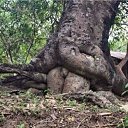 ���� ����, ������-��-���� - ��������� 19 ����� 2017 � ������ ���� ����������