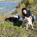 ���� ��������, ���������, 33 ���� - ��������� 9 ������ 2017 � ������ ���� ����������