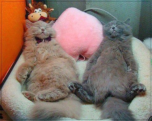 -   .      ...)))