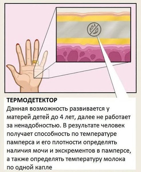   ,     . - 5