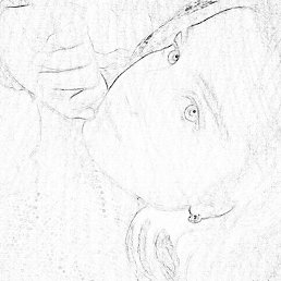 �����, ���������, 24 ����